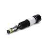 Arnott Air Suspension Strut, As-2605 AS-2605